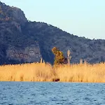 Caria Royal Dalyan
