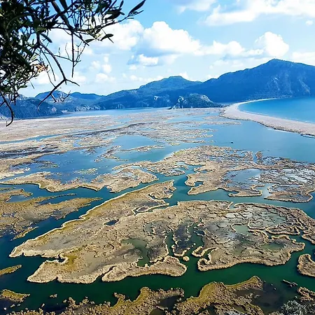 Hotel Caria Royal Dalyan